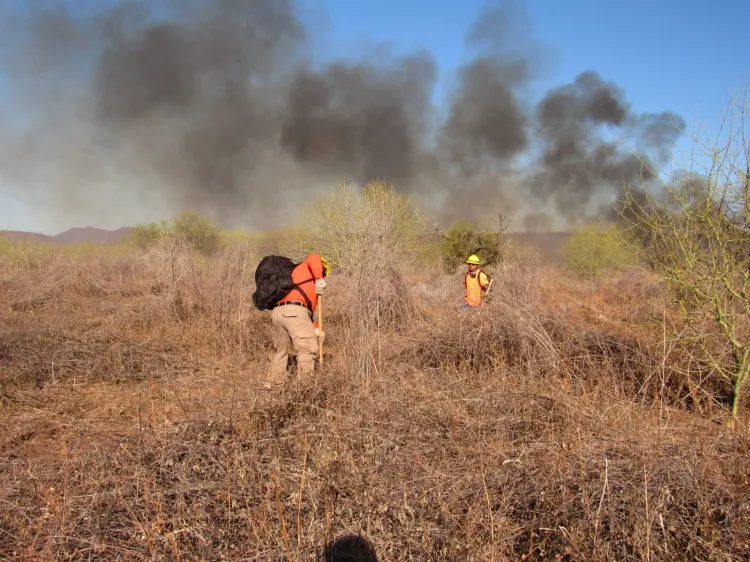 Sofocan incendio forestal en Quiriego