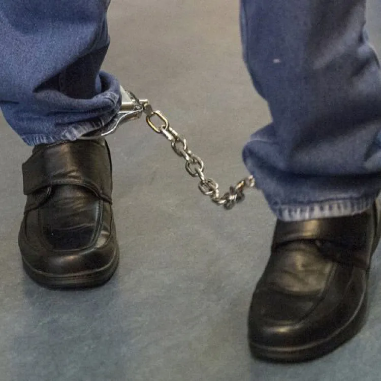 Detienen a delincuente sexual tras ingresar a EU