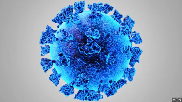 Cerca Arizona de dos mil 500 muertes