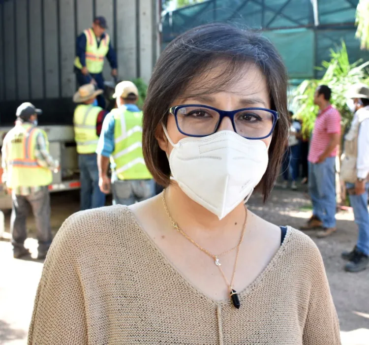 Recibe Ayuntamiento 32 mil árboles