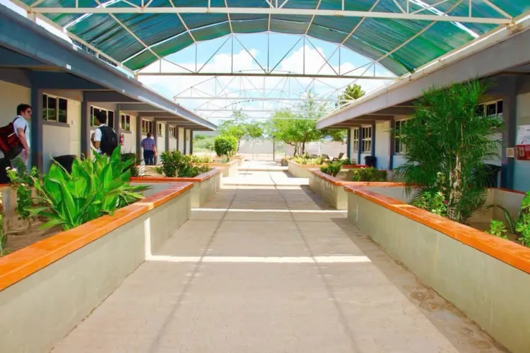 Asigna el Cobach plazas vacantes