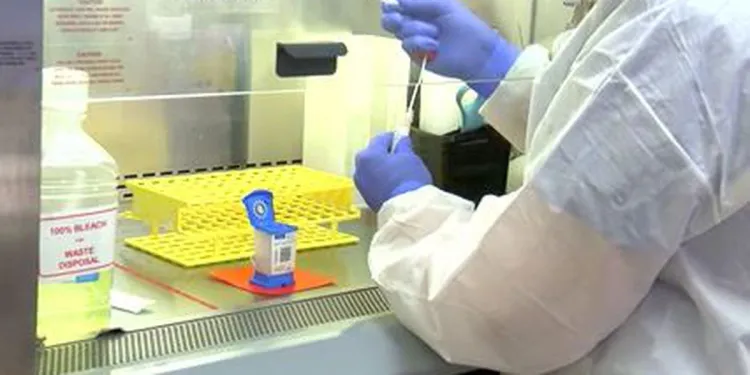 Incrementa Arizona las pruebas rápidas