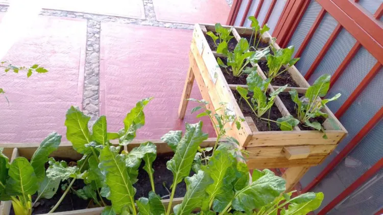 Promueve Alcalde programas sociales