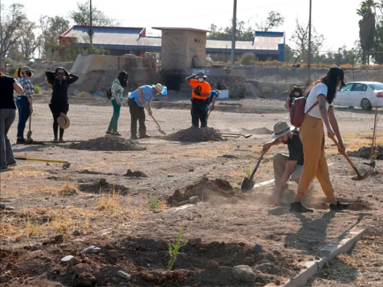 Realizan jornada de reforestación
