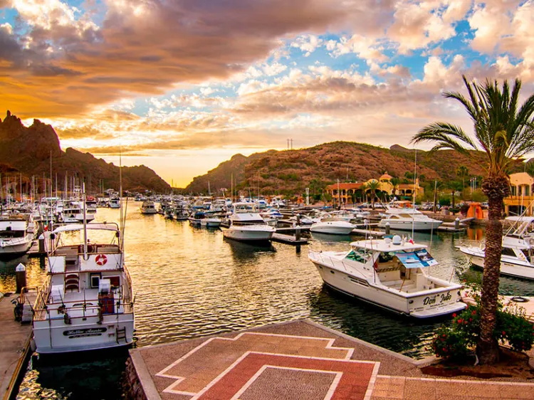 Pide Alcaldesa abstenerse visitar Guaymas y San Carlos