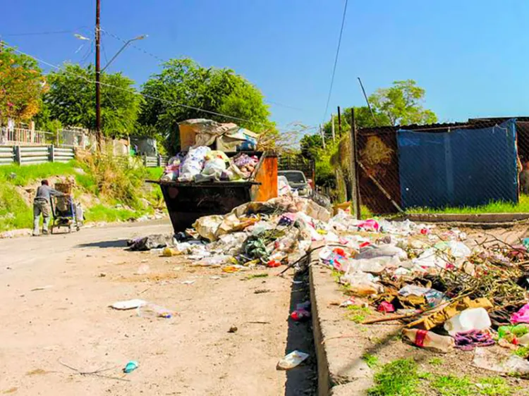 Basura y calor aceleran proliferación de moscas
