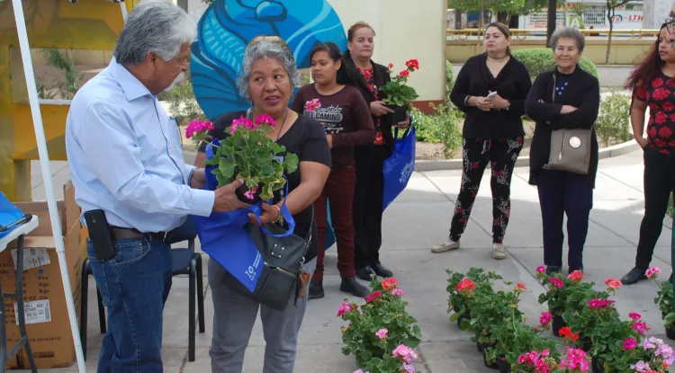 Entregan 150 plantasde ornato en Nogales Nuevo día