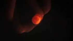 Así se vio el Eclipse Lunar en diferentes partes del mundo