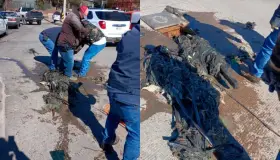 Colapsa red de colectores por basura: Oomapas