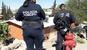 Saquean escuela en Nuevo Nogales