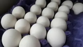 Prevén aumento en precio del huevo