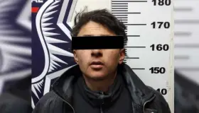 Arrestan a joven que trataba de abrir un vehículo