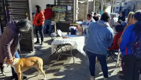 Firmes a superar número de esterilizaciones que se lograron en 2022