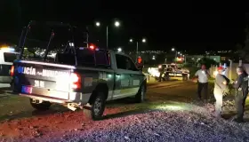 Roban diferente mercancía de una florería