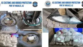 Continúan decomisos de fentanilo y metanfetaminas