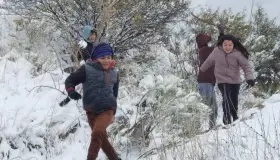 Salen a divertirse bajo la nieve