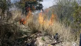 Incrementan llamados por incendios de maleza
