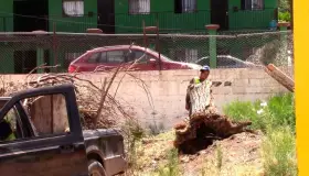 Suspenden clases en preescolar por presencia de serpientes