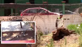 Listos para regreso a clases