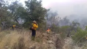 Piden apoyo para combatientes de incendio en Ímuris