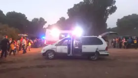 Cae árbol sobre familia; estaban de día de campo