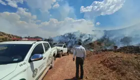 Sofocan incendio forestal en esta frontera