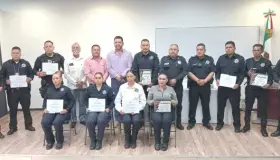 Están elementos de SP capacitados con SALVA