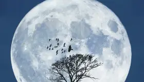 Hoy es el Día Internacional de la Luna