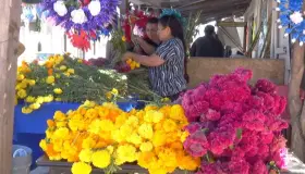 Dan vida a panteones en El Día de Muertos