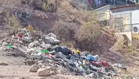 Ayuda Patrulla Ambiental en la limpieza de la ciudad