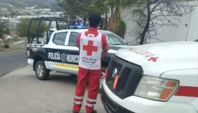 Muerde perro a niño frente a su casa