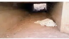 Localizan cuerpo sin
vida bajo un puente
