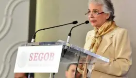 Guardia Nacional actuará con prudencia en Michoacán: Segob