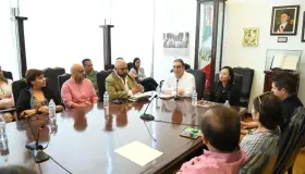 Capacitan sobre la transparencia