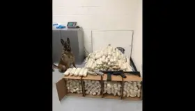 Traía droga, armas y dinero; preso