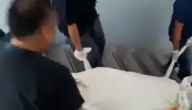 Arrastran cadáveres por escaleras en ISSSTE Querétaro