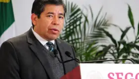 Tonatiuh Guillén López renuncia al Instituto Nacional de Migración