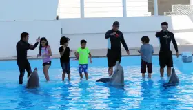 Invitan a disfrutar las vacaciones en Delfinario