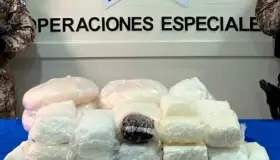 Realizan decomiso millonario al narco en Tamaulipas