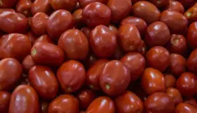 México y EU logran acuerdo sobre jitomate; se suspende ‘antidumping’