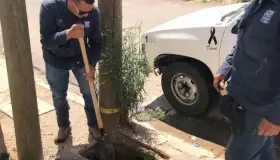 Realizan operativo contra robo de agua