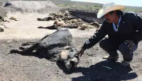 Tardan en Durango para solicitar declaratoria de emergencia