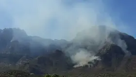 Controlan incendio forestal