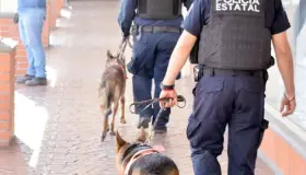 Fortalecerá PESP vigilancia