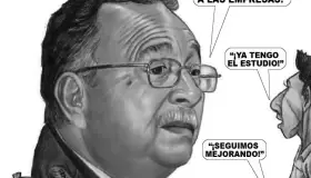 Cartón