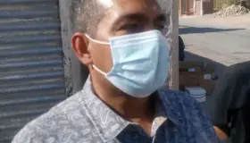 Aumenta presencia de animales silvestres