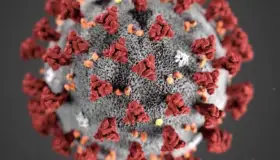 Jornada de contagios en Condado Santa Cruz