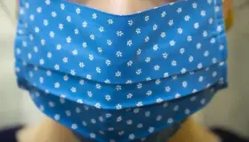 Roza Arizona las siete mil muertes