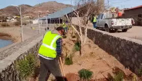 Siembran árboles frutales en parque de El Represo