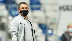 Un León con personalidad